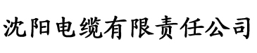 波多野结衣在线观看一码电缆厂logo